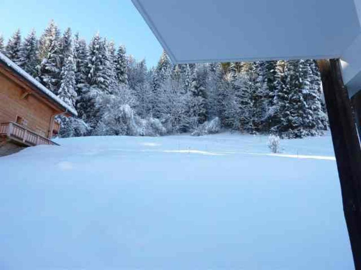 Appartement 3 Pieces Proche Centre Et Pistes, Animaux Admis, Parking Prive - Fr-1-524-34 Morzine Ngoại thất bức ảnh